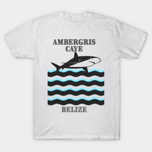 Ambergris Caye, Belize T-Shirt